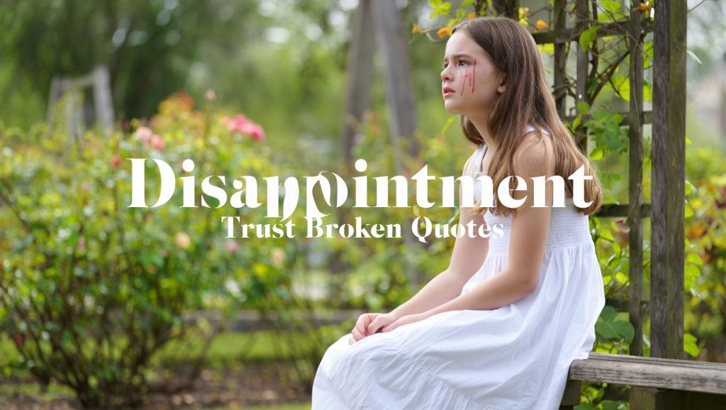 Disappointment Trust Broken Quotes