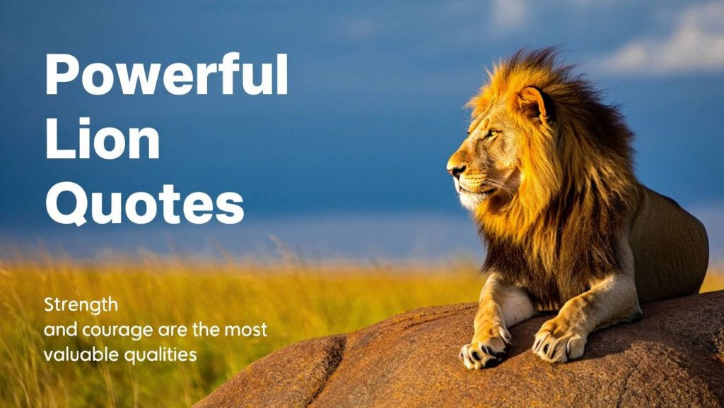 Powerful Lion Quotes