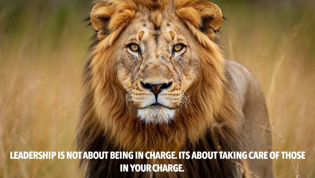150+ Attitude Powerful Lion Quotes: Command Respect and Own Your Kingdom 1 How Do Lion Quotes Capture Attitude About Success and Ambition 1