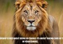 150+ Attitude Powerful Lion Quotes: Command Respect and Own Your Kingdom