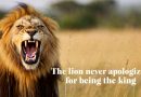 Savage Lion Quotes: Unleash Your Inner Beast and Rule Like a King