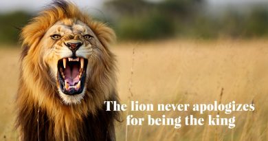 Savage Lion Quotes: Unleash Your Inner Beast and Rule Like a King