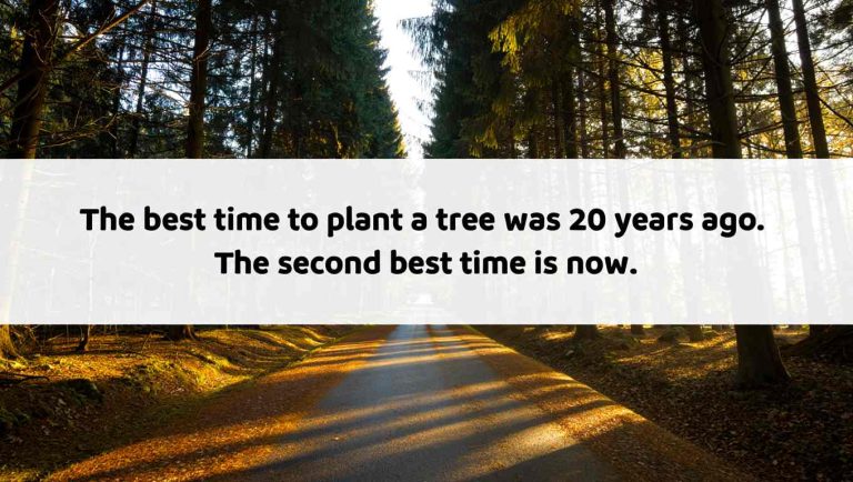 150+ Quotes That Will Change The Way You Live: Transform Your Life With Powerful Words