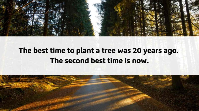 Quotes That Will Change The Way You Live