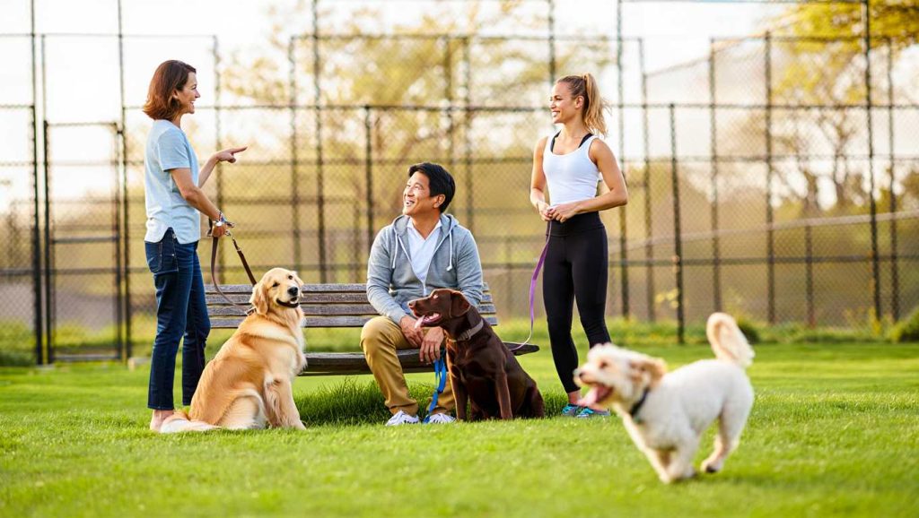 Places to Meet New People and Build Lasting Connections