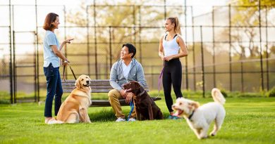 Places to Meet New People and Build Lasting Connections