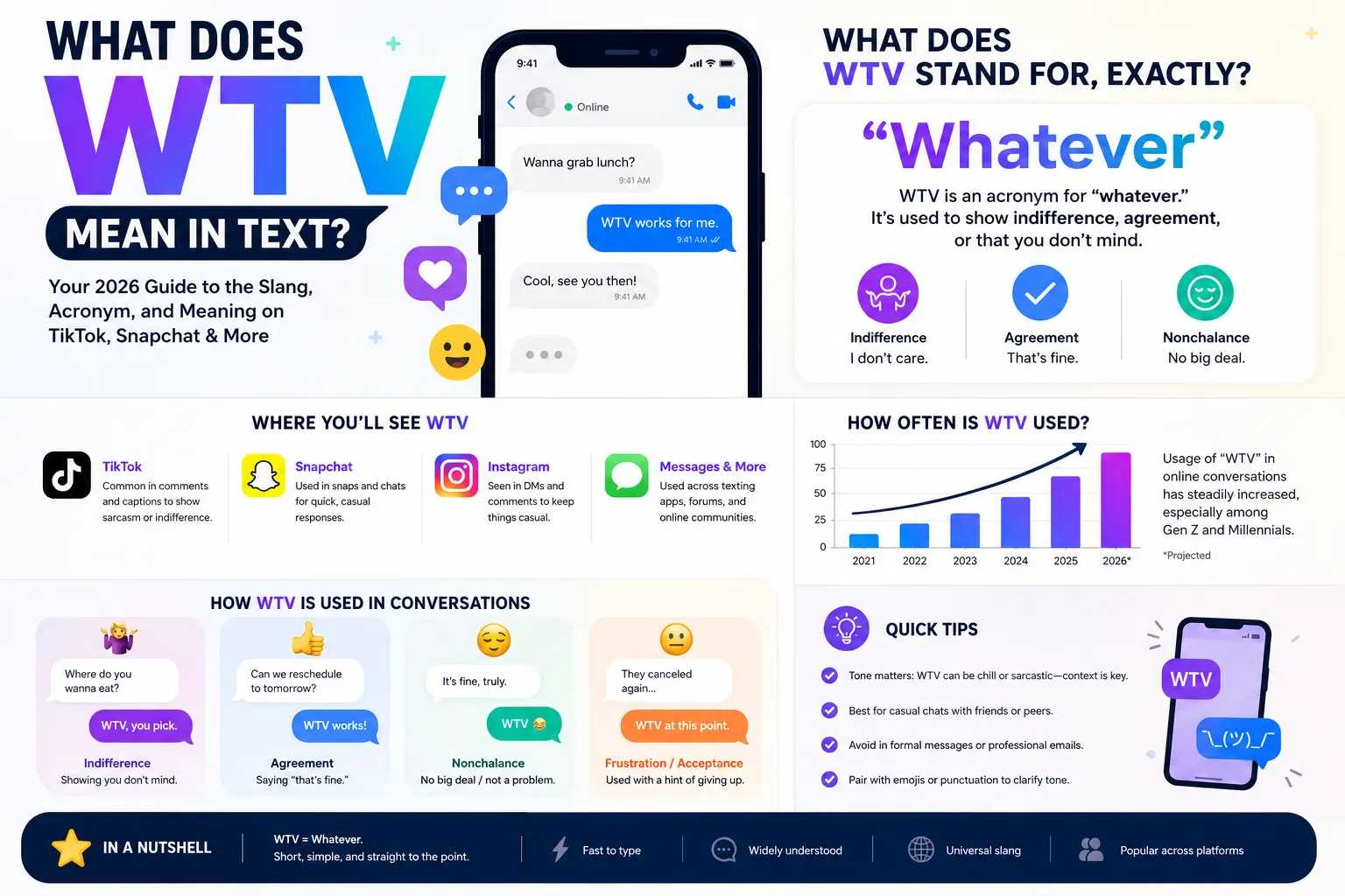 What Does WTV Stand For